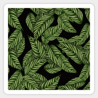 Tropical leaves on black Sticker